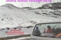 11999018_820549124709887_7230005582370355707_n